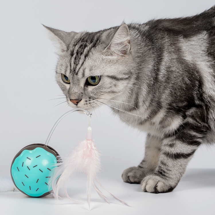 宠物玩具生产厂家